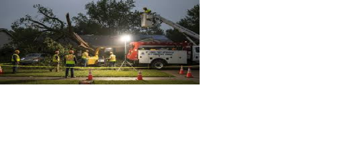 St. Louis Homeowner’s Guide To Storm-Damaged Trees, Power Safety, Insurance, And Outdoor Recovery